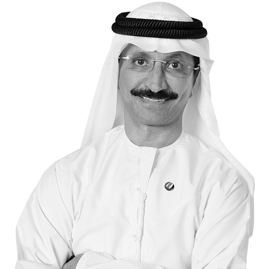 Sultan Ahmed Bin Sulayem photo